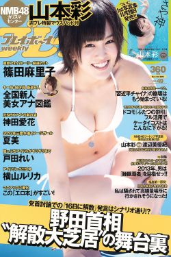 报告老板第一集
